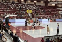 Trapani Shark-Ryukyu Golden Kings