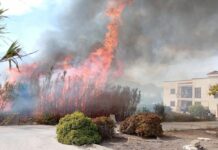 Il fuoco sarebbe partito da un appezzamento di terreno in contrada Tre Croci, a Favignana. 80 persone hanno dovuto abbandonare le loro case.