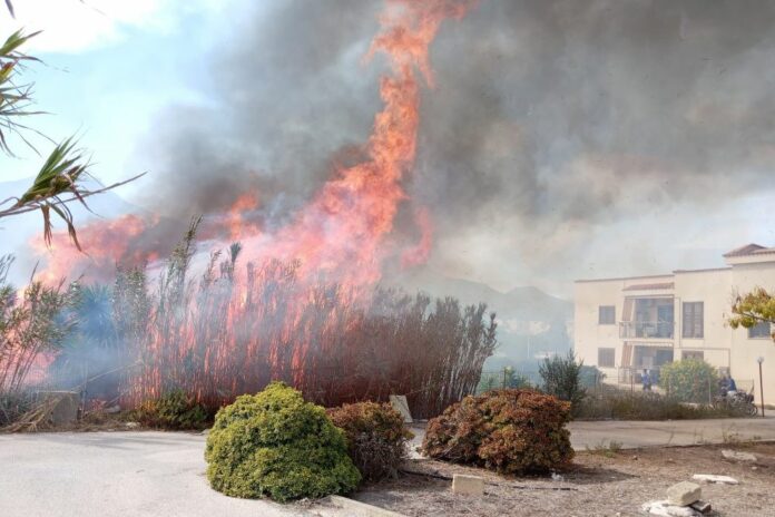 Il fuoco sarebbe partito da un appezzamento di terreno in contrada Tre Croci, a Favignana. 80 persone hanno dovuto abbandonare le loro case.