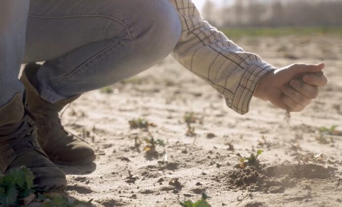 Continua il nostro focus sull'emergenza siccità che ha colpito la Sicilia e che ha causato non pochi problemi all'agricoltura